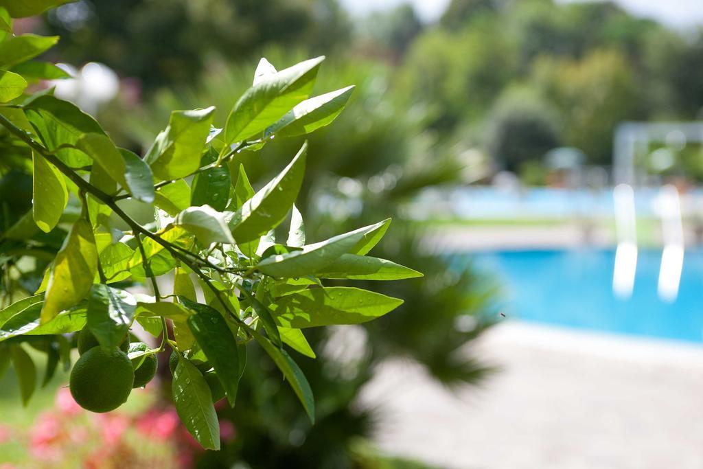 Hotel Harrys' Garden Abano Terme Exterior foto